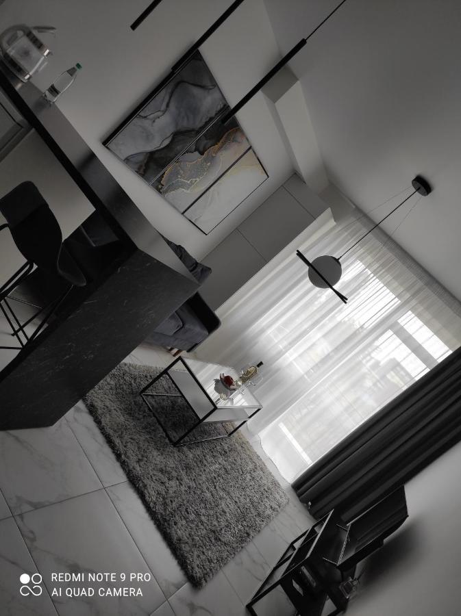 NEW modern apartment Użhorod Zewnętrze zdjęcie