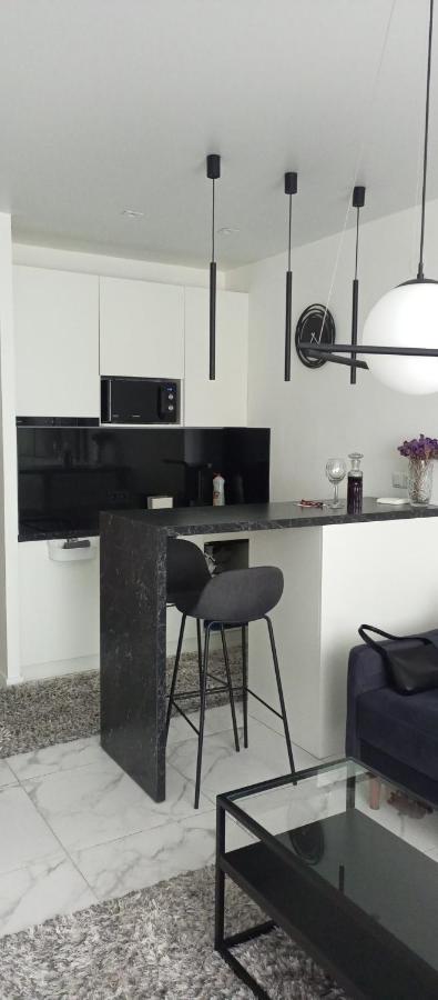 NEW modern apartment Użhorod Zewnętrze zdjęcie